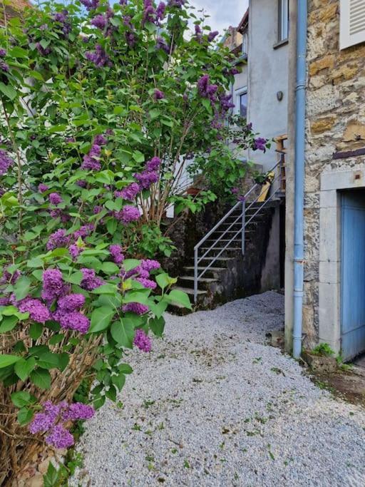 Le Lynx Boreal, Centre Historique Avec Jardin Lons-le-Saunier Exterior foto