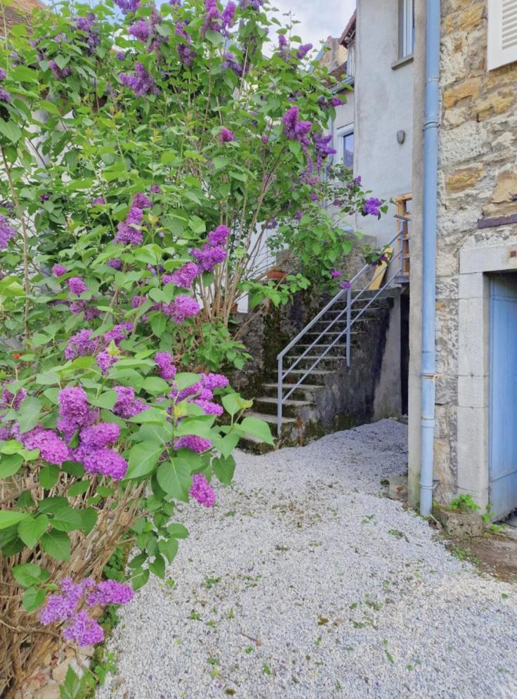 Le Lynx Boreal, Centre Historique Avec Jardin Lons-le-Saunier Exterior foto